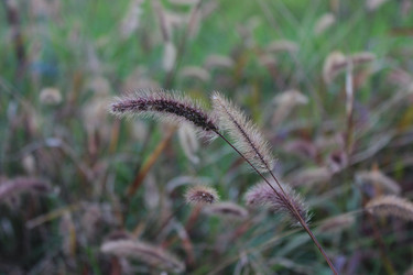 Similar image 22770470