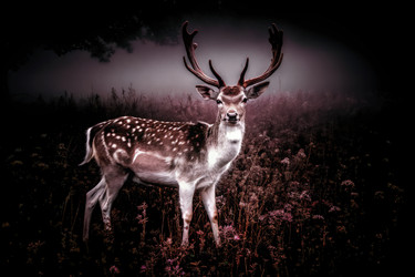 Similar image 22783631