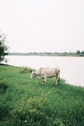 Similar image 22775441