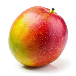 Similar image 22775455