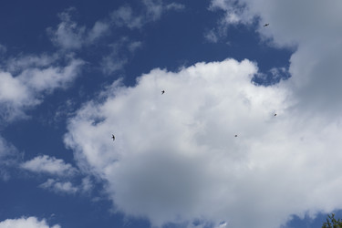 Similar image 22771506