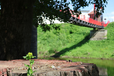 Similar image 22771518