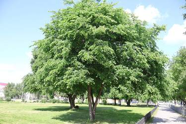 Similar image 22771522