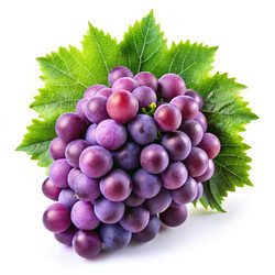 Similar image 22777230