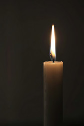 Similar image 22783016