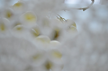 Similar image 22771662