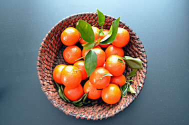 Similar image 22771667