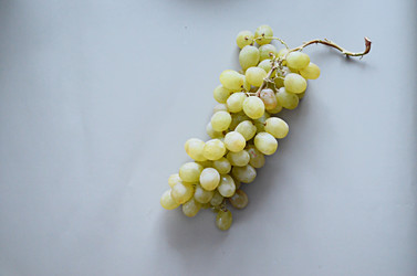 Similar image 22771682