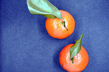 Similar image 22771688