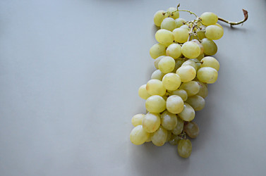 Similar image 22771704