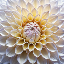 Similar image 22783107
