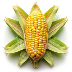 Similar image 22775400