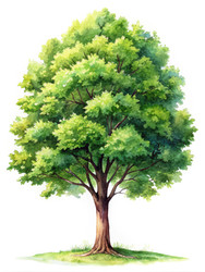 Similar image 22776495