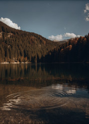 Similar image 22776586