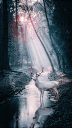 Similar image 22775328