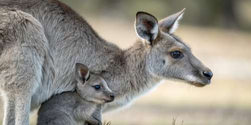 Similar image 22776526