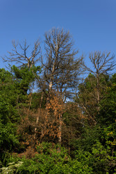 Similar image 22782342