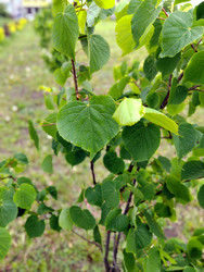 Similar image 22772708