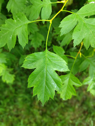 Similar image 22772709