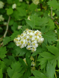 Similar image 22772710
