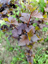 Similar image 22772725