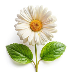 Similar image 22776348