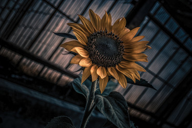 Similar image 22775151