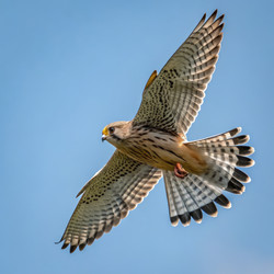 Similar image 22776529