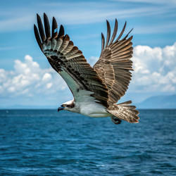 Similar image 22779491