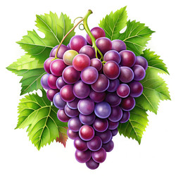 Similar image 22775269
