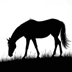 Similar image 22774492