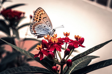 Similar image 22774671