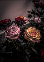 Similar image 22780550