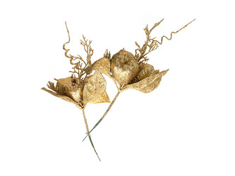 Similar image 22770742