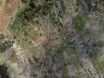 Similar image 22772259