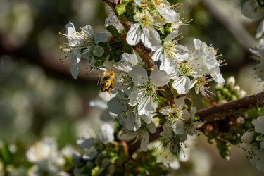 Similar image 22772607