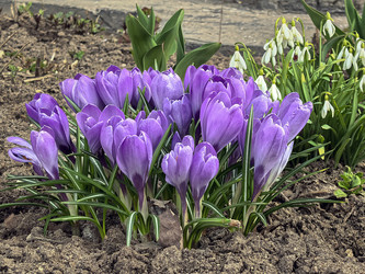 Similar image 22770514