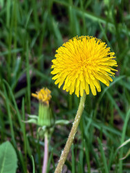 Similar image 22770519