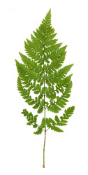 Similar image 22770759