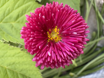 Similar image 22771827