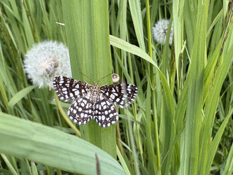 Similar image 22771831