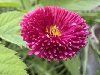 Similar image 22771842