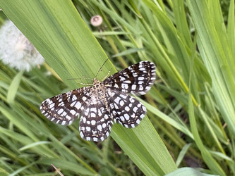 Similar image 22771845