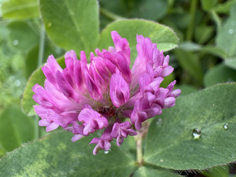 Similar image 22771874