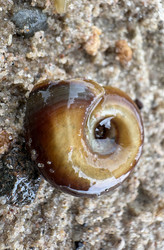 Similar image 22771875