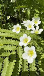 Similar image 22771891