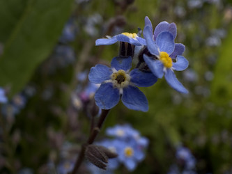 Similar image 22771917