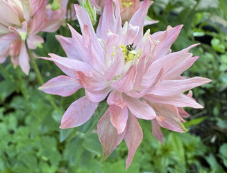 Similar image 22771923