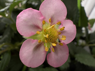 Similar image 22771940