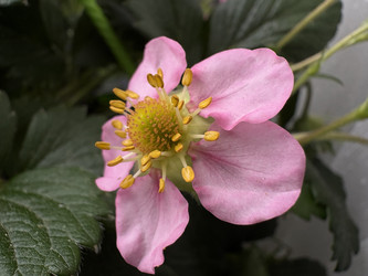 Similar image 22771942